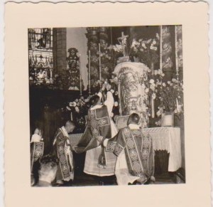 descendanceIV 017.jpg